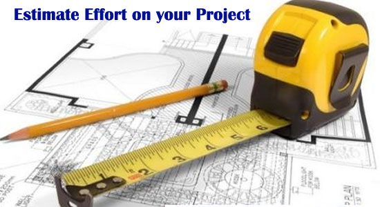 Ten Steps to Estimate Effort on your Project