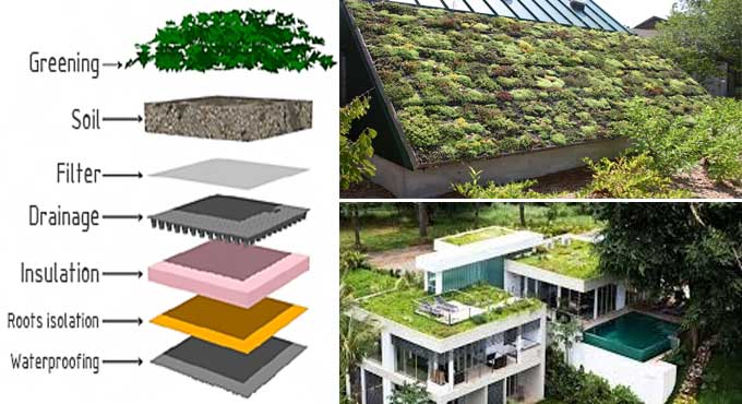 Green Roofs in Construction: An Overview of Benefits and Installation