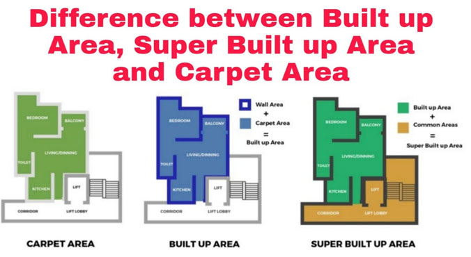 What are a plot, a built-up, and a carpet area, and what are their respective dimensions?