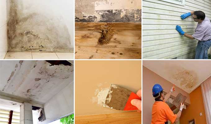5 Tips for Water Damage Repair Secrets Exposed! Here are the Juicy Details